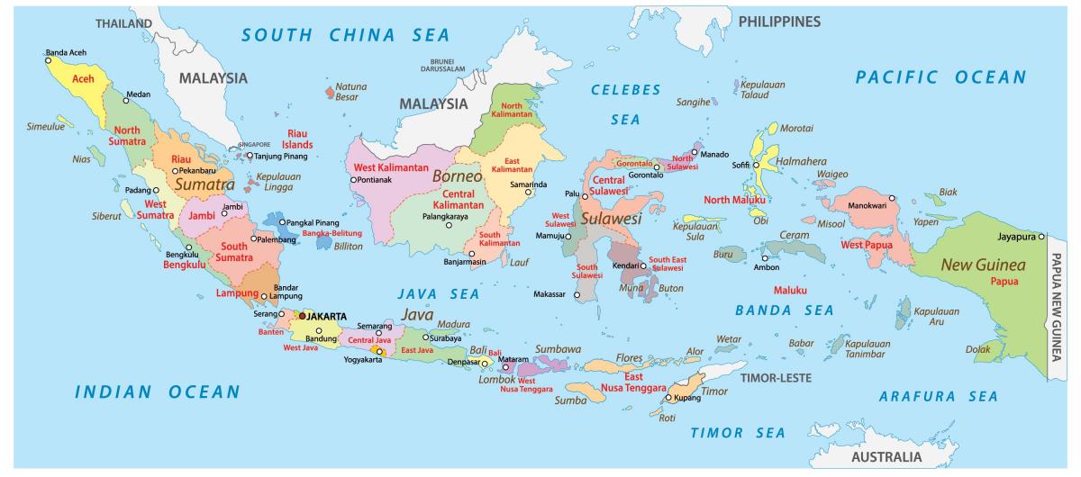 Mappa del paese Indonesia